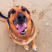 79756f73-454c-4244-b3be-5cf5d0b9cbdf